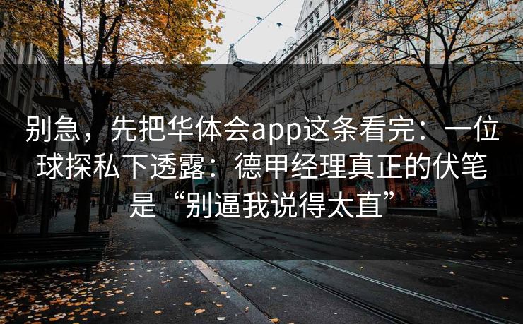 别急，先把华体会app这条看完：一位球探私下透露：德甲经理真正的伏笔是“别逼我说得太直”
