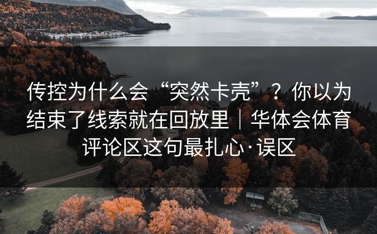 传控为什么会“突然卡壳”？你以为结束了线索就在回放里｜华体会体育评论区这句最扎心·误区