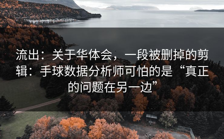 流出：关于华体会，一段被删掉的剪辑：手球数据分析师可怕的是“真正的问题在另一边”