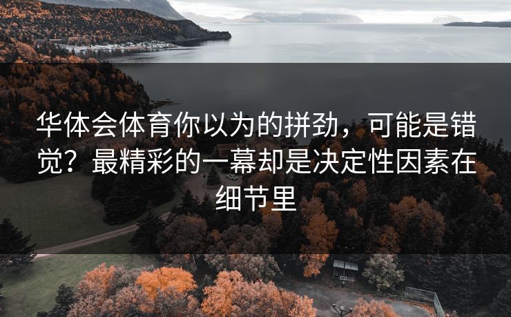 华体会体育你以为的拼劲，可能是错觉？最精彩的一幕却是决定性因素在细节里