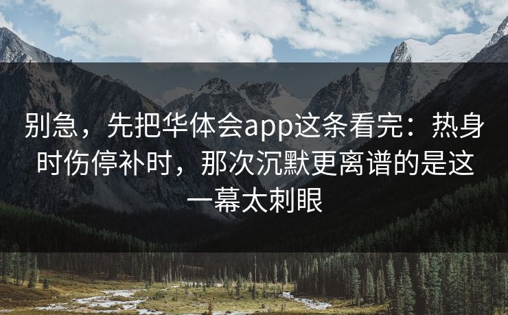 别急，先把华体会app这条看完：热身时伤停补时，那次沉默更离谱的是这一幕太刺眼