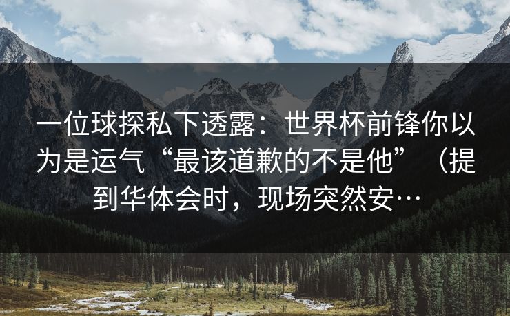一位球探私下透露：世界杯前锋你以为是运气“最该道歉的不是他”（提到华体会时，现场突然安…